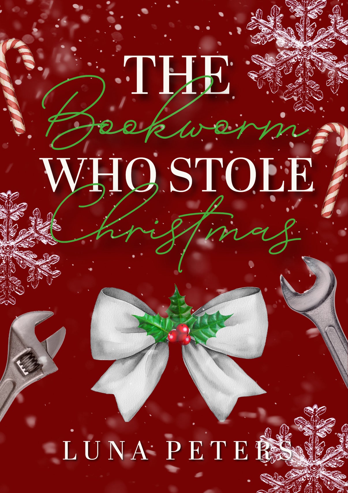 The Bookworm Who Stole Christmas - Christmas Novella