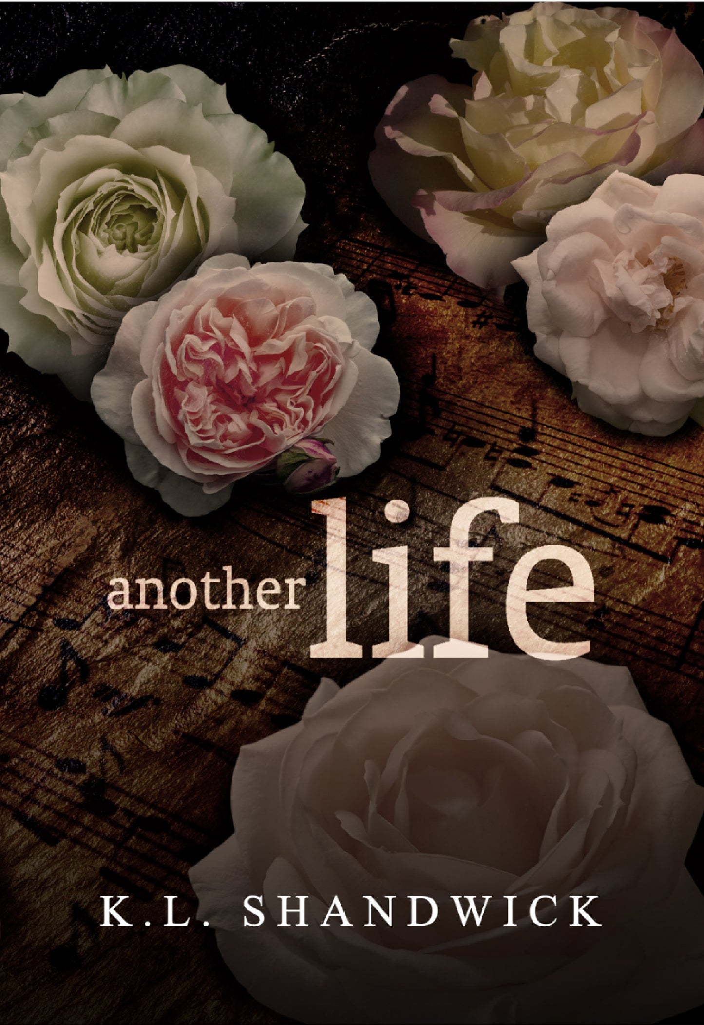 Another Life